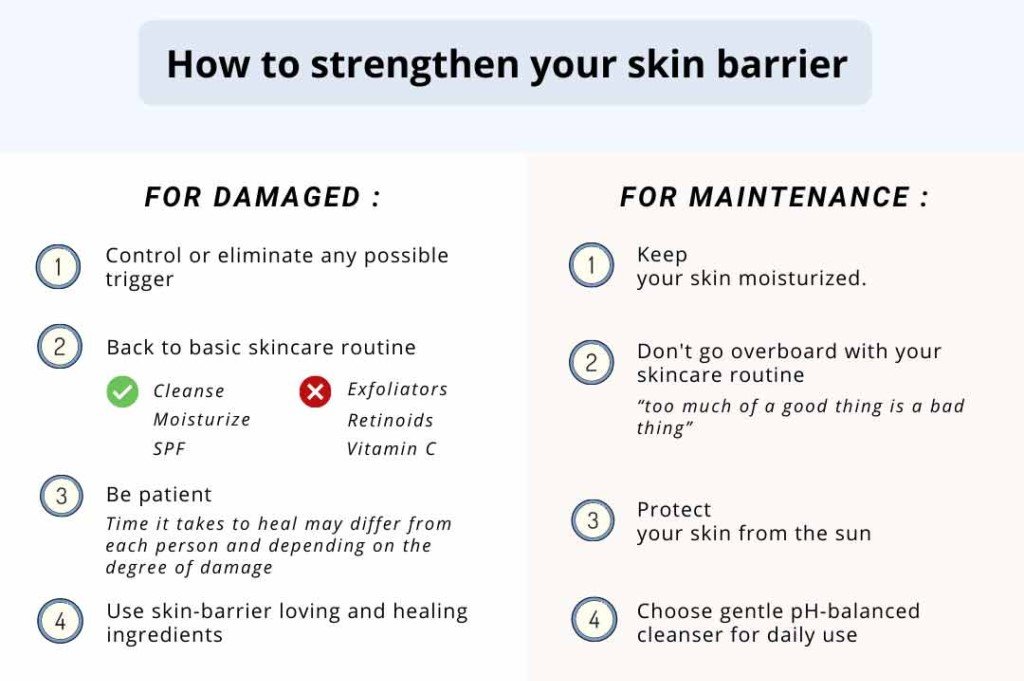 Illustration showing how to strengthen your skin barrier, with one side highlighting damaged skin (redness, dryness, irritation) and steps for repair (hydration, gentle products, moisturizing), and the other side showing healthy, maintained skin with a focus on ongoing care (sunscreen, balanced skincare routine, hydration).