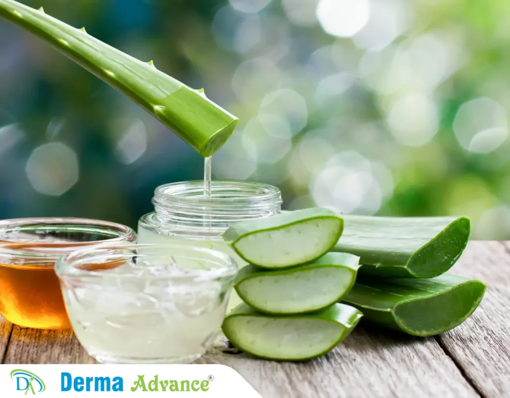 Image of Aloe Vera which can be used as a Home Remedy For Pigmentation.